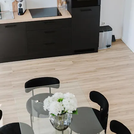 2 Bedroom Penthouse Loft - Whirlpool - Terrasse - Wifi - Zentral - Kueche - Kaffee - Parkhaus Wiesbaden